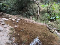 -火炉山森林公园