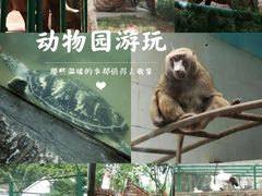 -郑州市动物园