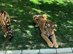 -北京野生动物园