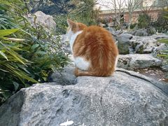 -静安公园(静安寺街道)