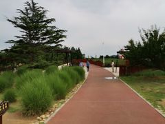 -羊亭河湿地公园