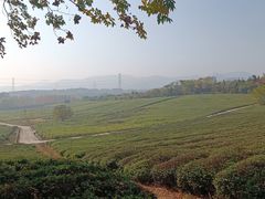 -宜兴龙背山森林公园