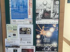 -香港大学