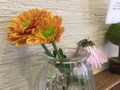 -榖屋house of flour(张江首店)