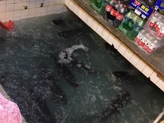 -旭龙鱼头王(航华店)