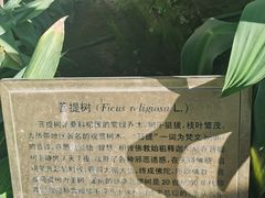 -国家植物园南园