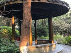 -杭州半山国家森林公园