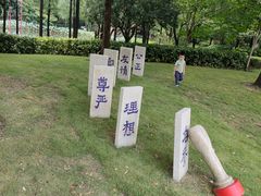 -陈家山荷花公园
