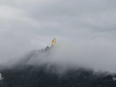 -南山植物园