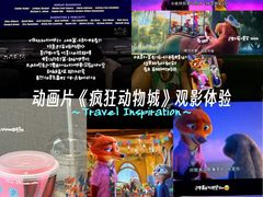 -中影国际影城(华发商都CINITY店)