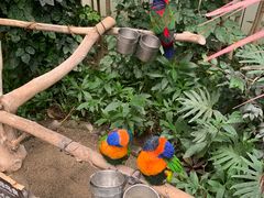 -南宫五洲植物乐园