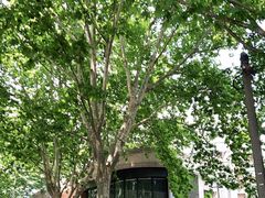 -镇南锅盖面馆(解放路店)