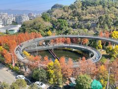 -梅峰山地公园