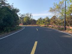 -宝界山林公园