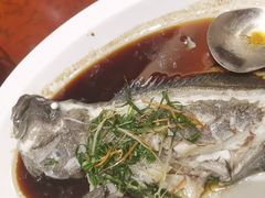 -北海港酒楼 海鲜代加工 粤菜(淡村商贸城店)
