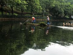 -深圳龙潭公园