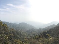 -大岭沟猕猴桃谷风景区