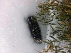 iphone_upload_pic-天柱山风景区