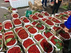 -菜园坝水果市场