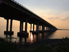 -宝安西湾红树林湿地公园