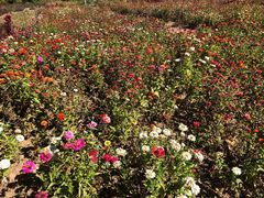-蟠龙山长城景区