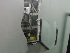 -半岛宠物医院24小时(科华中路店)