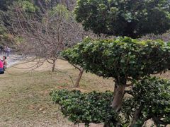 -云溪植物园