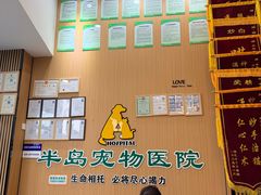 -半岛宠物医院24小时·内窥镜·牙科·碎石中心(府城大道店)