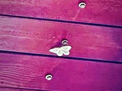 -七仙岭温泉国家森林公园