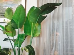 -沿途四季·云南菜(建外大街店)