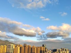 -金鸡山公园