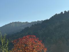 -塔川景区