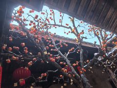 -初溪土楼群