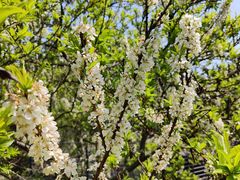 -中国移动南方基地