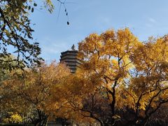 -玲珑塔公园
