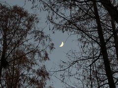 -柳莺湖上·湖景餐厅·江南菜(西湖店)