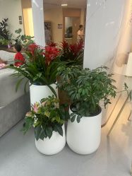 -上海伊莱美医疗美容医院