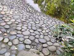 -温江公园