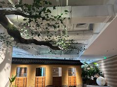 -大视光学•LINDBERG林德伯格•全球手工眼镜集合店(王府井店)