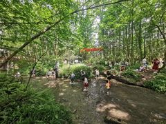 -桤木河湿地公园