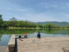 -长广溪湿地公园