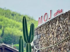 -MOJ coffee(瓯海泽雅水碓坑店)