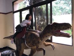 -自贡恐龙博物馆