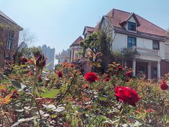 -恒大世纪梦幻城