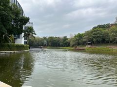 -深圳国际园林花卉博览园