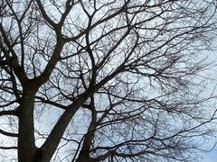 -西涌国际滨海旅游区