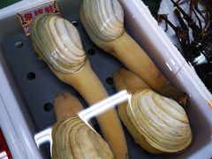 -海儀美食楼(湾仔海鲜街店)