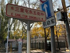 -三里屯东五街银杏大道