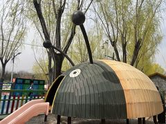 -青龙湖公园