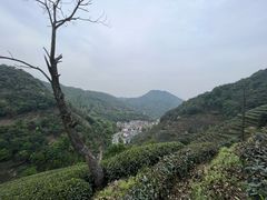 -午潮山国家森林公园